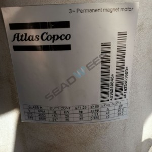 Atlas Copco 1625461089 Permanent Magnet Motor Technical Profile