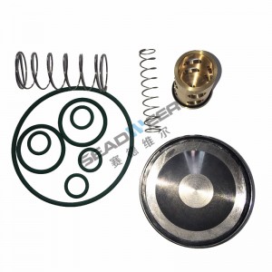 Atlas Copco Spares Suppliers parts Check valve kit Top Chinese Agents