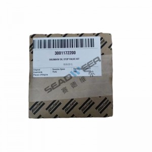 Atlas Copco mobile air compressor Check valve kit3001172200 Has the best product quality