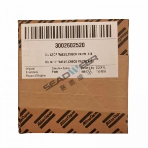 Atlas Copco air compressor products Check valve kit 3002602520 Best Chinese seller