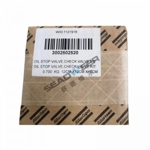 Atlas Copco air compressor products Check valve kit 3002602520 Best Chinese seller