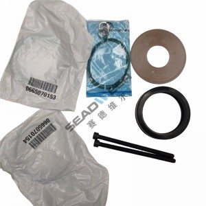 Minimum pressure valve kit 3001531114 for Atlas Copco compressor Fast delivery