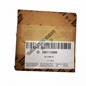 100% Original Oil pump maintenance kit 2901110800 for Atlas Copco air compressor