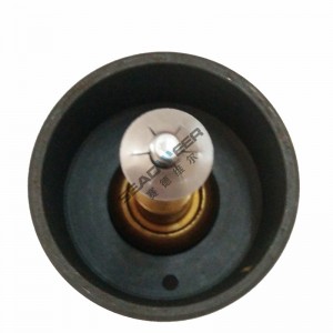 Reasonable Price Thermostatic valve 2901006800 For Atlas Copco compressor