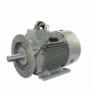 Atlas Copco air compressor parts Fan Motor 1092-0916-22 1092-0916-05 Top distributors from China