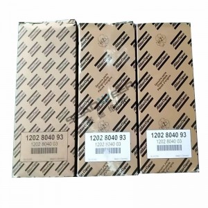Atlat compressor Oil filter Replacement 1202-8040-93 1202-8040-03