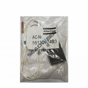 Reasonable Price thermometer 1613097401 1613097403 For Atlas Copco compressor