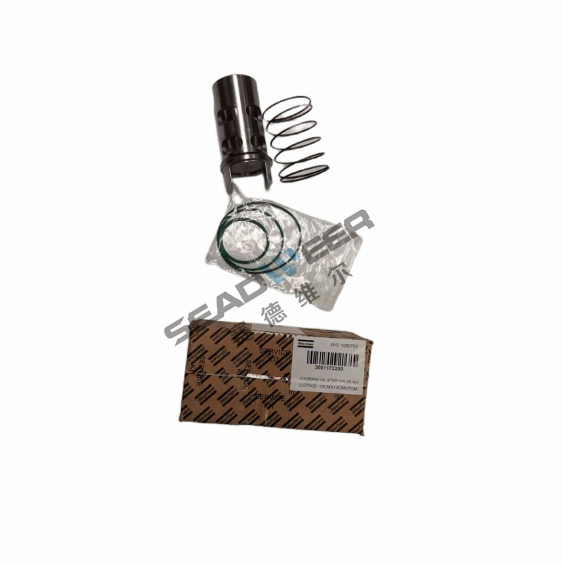 Atlas Copco mobile air compressor Check valve kit3001172200 Has the best product quality